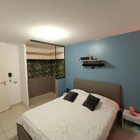 T3 Garage Prive Terrasse *